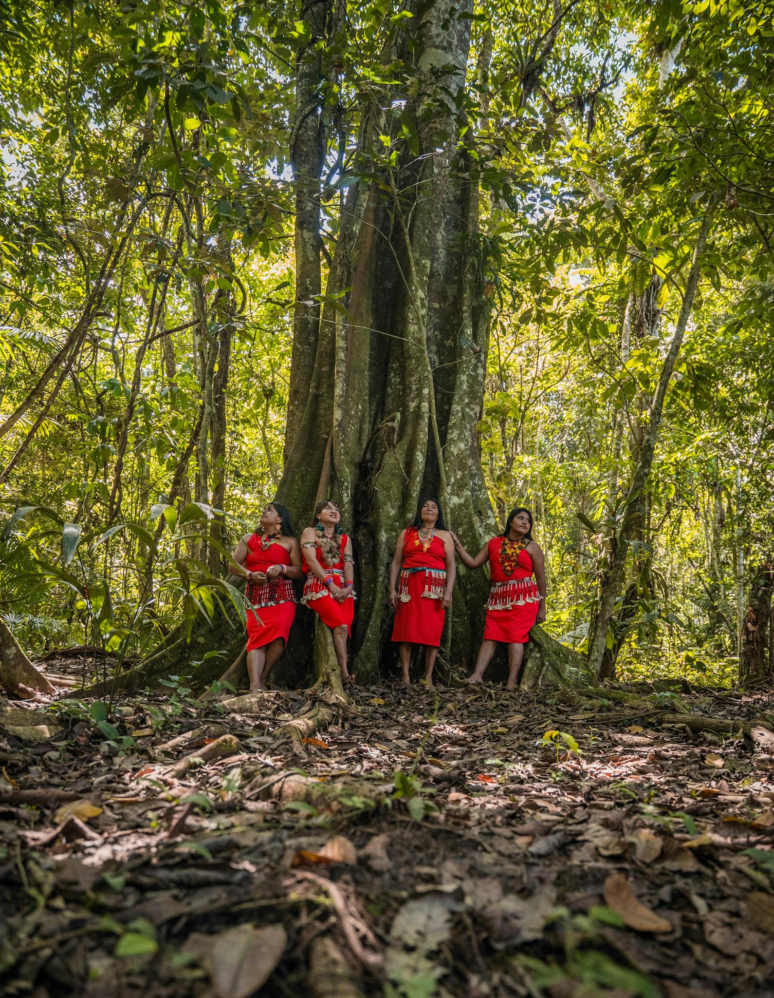 Four women in traditional attire stand in a lush forest, showcasing indigenous culture in San Martín, Peru.